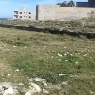 Lotissement approuvé près de la mer à Salakta : lots de 309 à 500 m² — photo 5