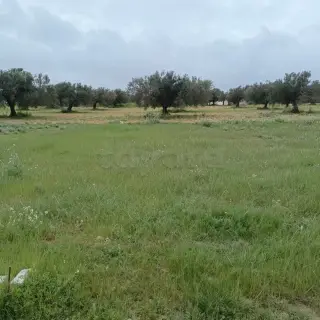 Terreno di 290 m² a 5 km da Hammamet Yasmine