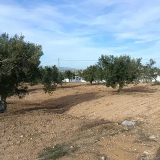 Terrain de 600 m² avec eau et électricité près de Hammamet Yasmine — photo 3