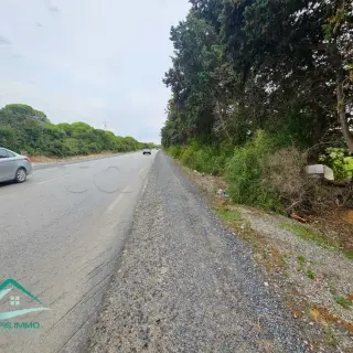 Terrain de 14 000 m² à deux façades près de la forêt de Dar Chichou — photo 2