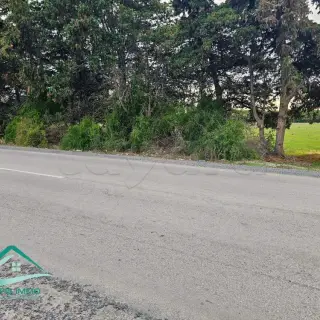 Terrain de 14 000 m² à deux façades près de la forêt de Dar Chichou — photo 3