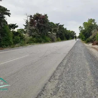 Terrain de 14 000 m² à deux façades près de la forêt de Dar Chichou — photo 4