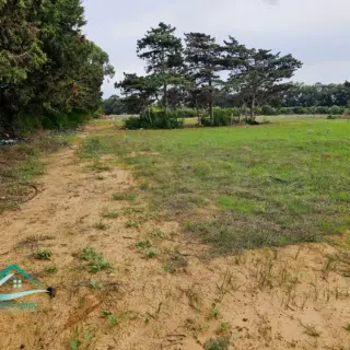 Terrain de 14 000 m² à deux façades près de la forêt de Dar Chichou — photo 5