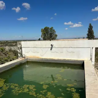 Domaine agricole de 39 000 m² avec maison, oliviers et sondage à Sidi Bou Ali — photo 3