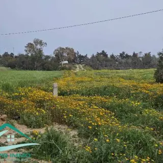 Terrain agricole de 50 000 m² avec puits sur route principale — photo 2