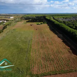 Terrain agricole de 20 130 m² à Sidi Daoued, à 1,5 km de la plage — photo 2