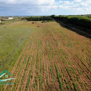 Terrain agricole de 20 130 m² à Sidi Daoued, à 1,5 km de la plage — photo 3