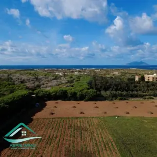 Terrain agricole de 20 130 m² à Sidi Daoued, à 1,5 km de la plage — photo 5