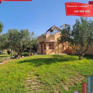 Maison de campagne sur 4000 m² de terrain arboré avec oliviers — photo 4