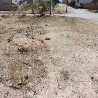 Terrain de 1380 m² constructible en R+7 pour promotion immobilière