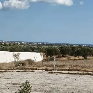 Terrain de 1240 m² avec vue mer en pleine campagne à Hammamet — photo 2