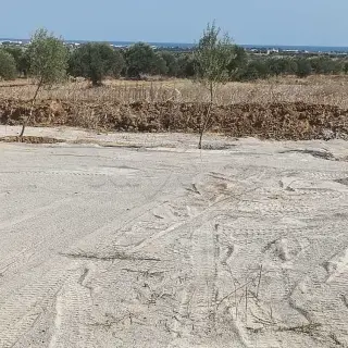 Terrain de 1240 m² avec vue mer en pleine campagne à Hammamet — photo 3
