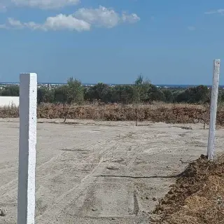 Terrain de 1240 m² avec vue mer en pleine campagne à Hammamet — photo 4