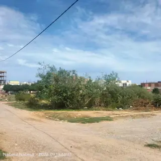 Terrains de 180 à 500 m² à 5 minutes du centre de Nabeul — photo 2