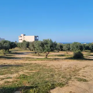 Terrain titré de 1350 m² avec vue mer à Ksour Gharnata