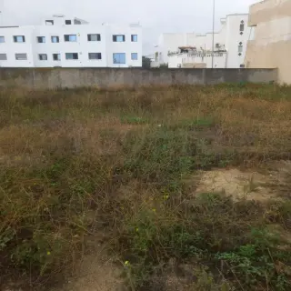 Terrain de 1327 m² à vocation R+2 à la Cité La Gazelle, titre individuel — photo 5