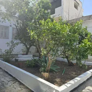 Villa en duplex à rénover sur un terrain de 603 m² à Montfleury — photo 2