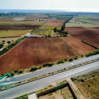 Terrain agricole de 10 hectares planté, avec puits et maison, à Libna