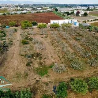 Terrain agricole de 10 hectares planté, avec puits et maison, à Libna — photo 2