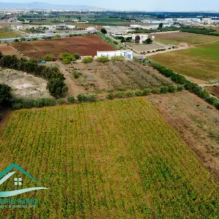 Terrain agricole de 10 hectares planté, avec puits et maison, à Libna — photo 3