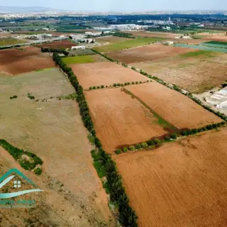 Terrain agricole de 10 hectares planté, avec puits et maison, à Libna — photo 4