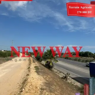 Terrain agricole de 5400 m² à Sidi Bou Ali, sur l'axe autoroutier