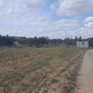 Terrain agricole de 5400 m² à Sidi Bou Ali, sur l'axe autoroutier — photo 2