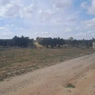 Terrain agricole de 5400 m² à Sidi Bou Ali, sur l'axe autoroutier — photo 3