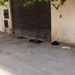 Maison de trois chambres avec jardin et garage à Diwan Zit, Cité Ezzouhour — photo 5