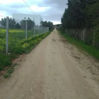 Lots de terrain de 1000 m² dans un quartier calme et verdoyant — photo 2