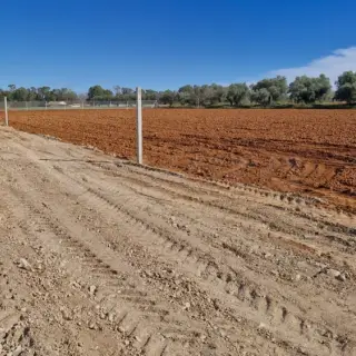 Lots de terrain de 1000 m² dans un quartier calme et verdoyant — photo 3