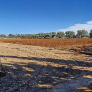 Lots de terrain de 1000 m² dans un quartier calme et verdoyant — photo 4