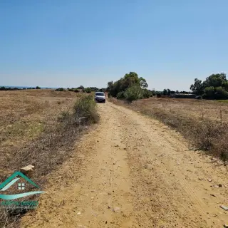 Terrain de 1700 m² avec façade de 45 m à Tamezrat, Kélibia — photo 2