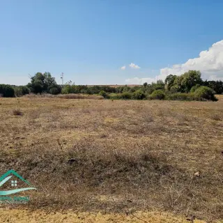 Terrain de 1700 m² avec façade de 45 m à Tamezrat, Kélibia — photo 3