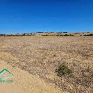 Terrain de 1700 m² avec façade de 45 m à Tamezrat, Kélibia — photo 4