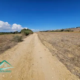 Terrain de 1700 m² avec façade de 45 m à Tamezrat, Kélibia — photo 5