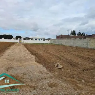 Terrain d'habitation de 331 m² à 500 m de la plage, Kélibia — photo 4