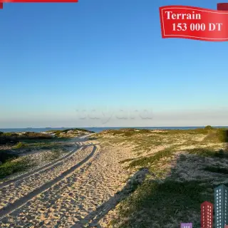 Terrain constructible de 286 m² en lotissement viabilisé à Sidi Abdelhamid — photo 3