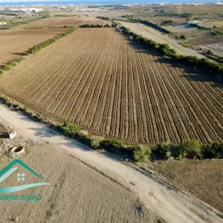 Terrain agricole de 28170 m² avec vigne à vendre à Kélibia