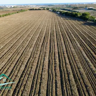 Terrain agricole de 28170 m² avec vigne à vendre à Kélibia — photo 2
