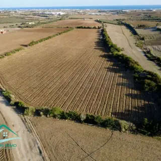 Terrain agricole de 28170 m² avec vigne à vendre à Kélibia — photo 4