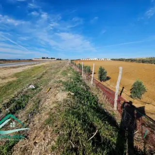 Terrain de 1000 m² sur la route de ceinture à Kélibia — photo 2