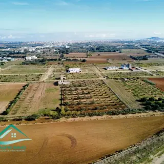 Terrain de 1000 m² sur la route de ceinture à Kélibia — photo 4