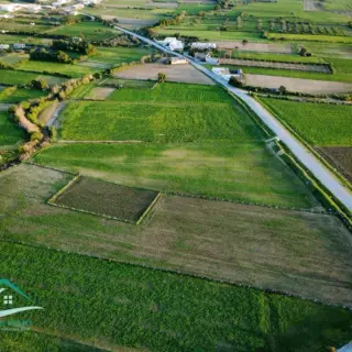 Terrain clôturé de 10 700 m² à Oued Khatf, Kélibia — photo 5