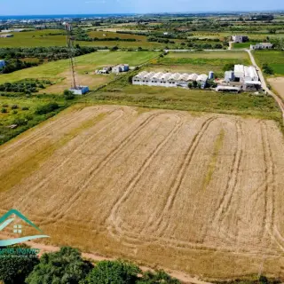 Terrain agricole de 7308 m² avec deux entrées près du pôle universitaire