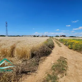 Terrain agricole de 7308 m² avec deux entrées près du pôle universitaire — photo 2