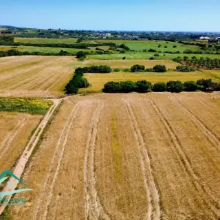 Terrain agricole de 7308 m² avec deux entrées près du pôle universitaire — photo 3