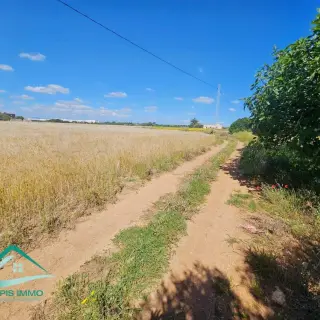 Terrain agricole de 7308 m² avec deux entrées près du pôle universitaire — photo 4