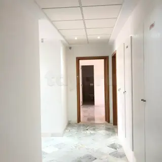 Immeuble neuf de 1830 m² couverts avec plateaux open space à Montplaisir — photo 5