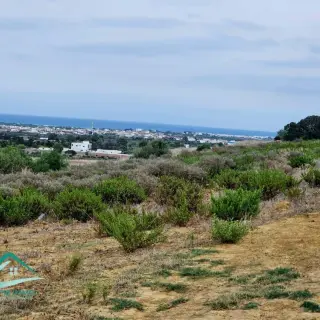 Terrain de 1200 m² sur une colline avec vue sur mer et ville — photo 3